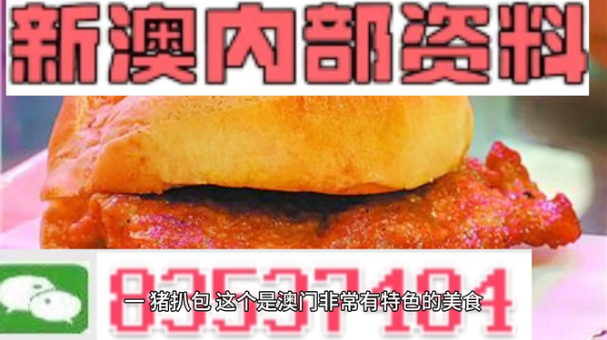 2025新澳门王中王正版，详细解答、前沿解答解释落实