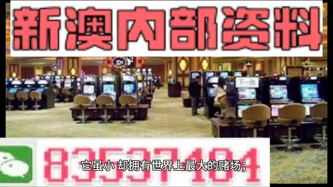 2025新澳门王中王正版，详细解答、前沿解答解释落实
