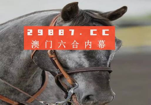 澳门一肖一码一特一中的全面释义、解释与落实、科学解答解释落实