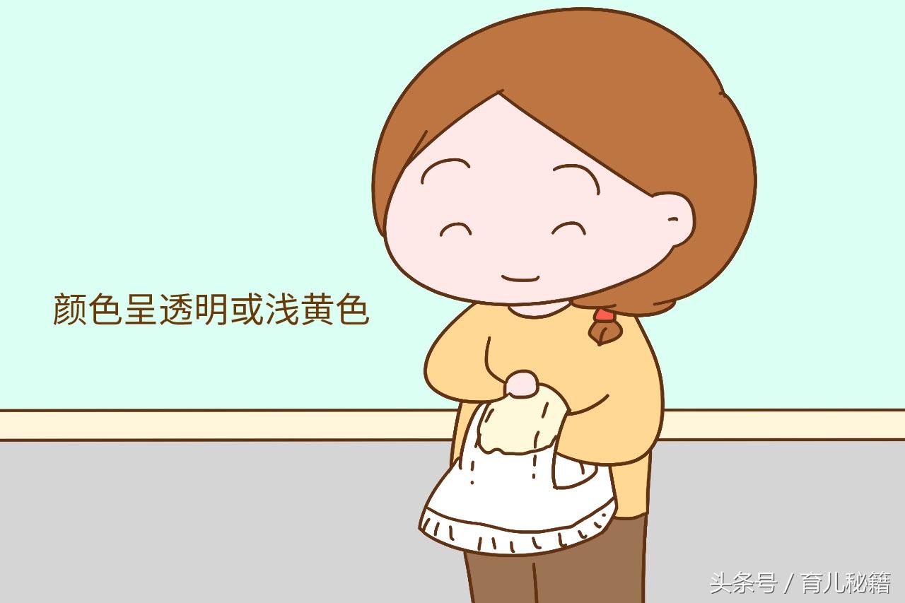2025年新奥门天天开彩免费资料警惕虚假宣传、全面解答与解释、科学解答解释落实